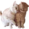 🤝