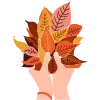 🍁