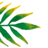 🌿