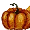🎃