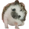 🙂