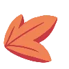 🍁