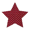 🌟