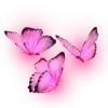 🦋
