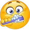 🪥