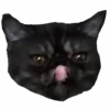 🫥