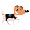 🐶