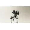 🤩