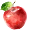 🍎