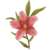 🌸