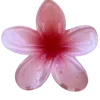 🌺