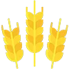 🌾