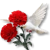 🕊