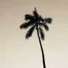 🌴