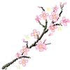 🌸