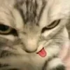 👅