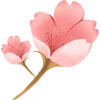 🌸