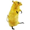 🐀