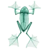 🐸