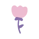 🌷