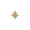 🌟