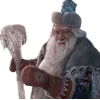❄️