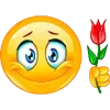 🌹