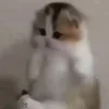 😌