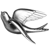 🐦‍⬛