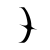 🔠
