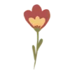 🌷