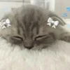 🎀