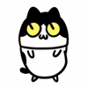 🐈‍⬛