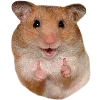 👍