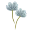 🌷