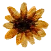 🌼