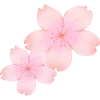 🌸