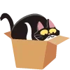 📦