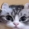 👀