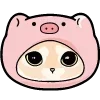 🐽