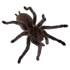 🕷️