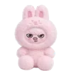 🐷