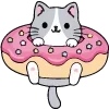 🍩