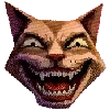 😼