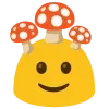 🌟