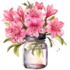 🌺