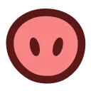 🐽
