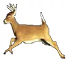 🦌