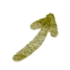 ↗️