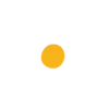 🟡
